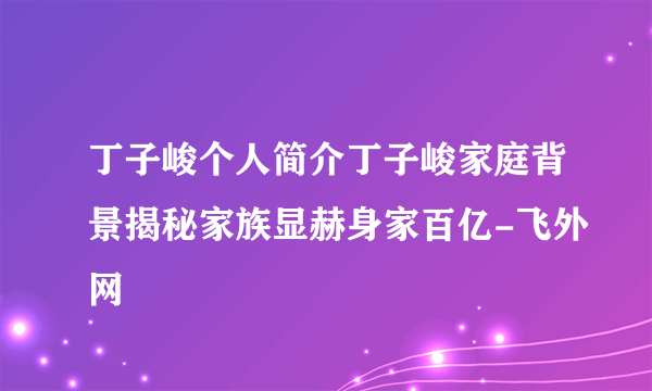 丁子峻个人简介丁子峻家庭背景揭秘家族显赫身家百亿-飞外网