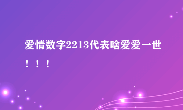 爱情数字2213代表啥爱爱一世！！！