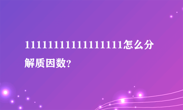 11111111111111111怎么分解质因数？