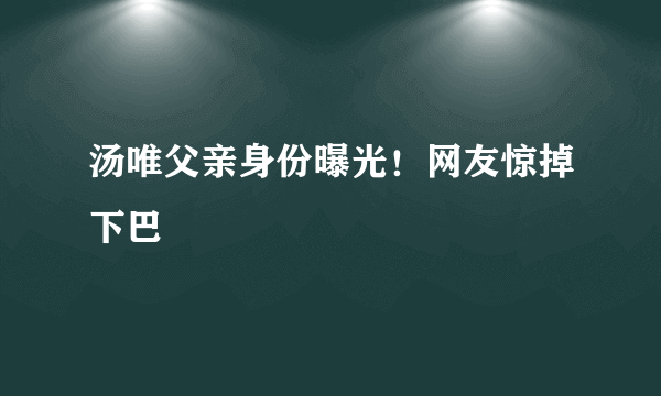 汤唯父亲身份曝光！网友惊掉下巴