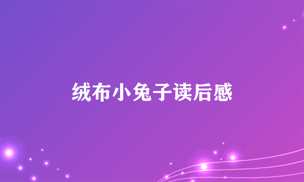 绒布小兔子读后感