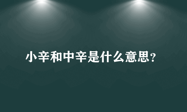 小辛和中辛是什么意思？