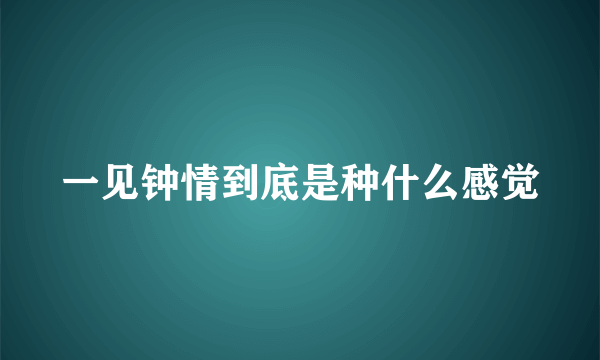 一见钟情到底是种什么感觉