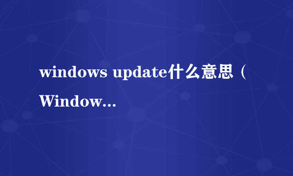 windows update什么意思（Windows Update介绍）