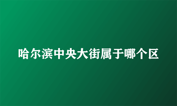 哈尔滨中央大街属于哪个区