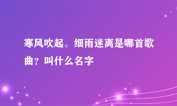 寒风吹起。细雨迷离是哪首歌曲？叫什么名字