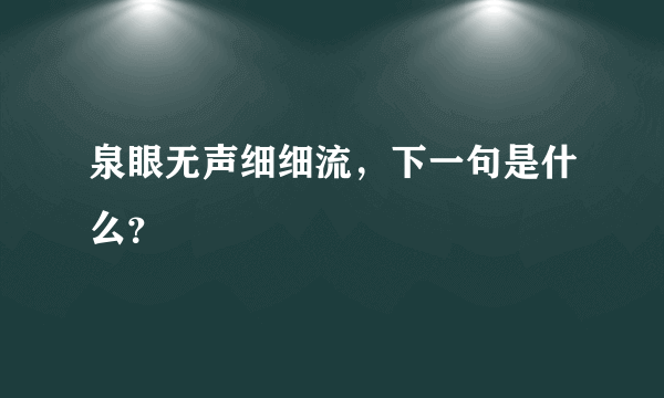 泉眼无声细细流，下一句是什么？