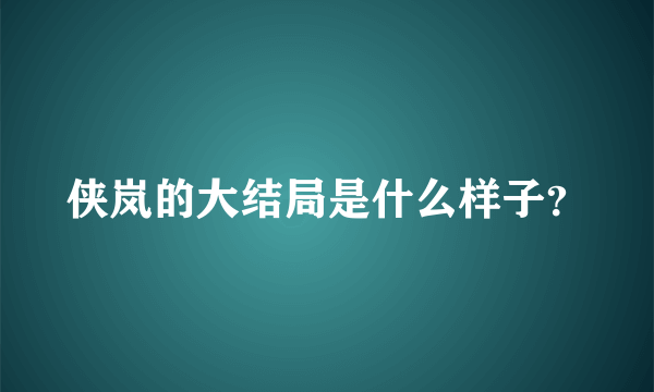 侠岚的大结局是什么样子？