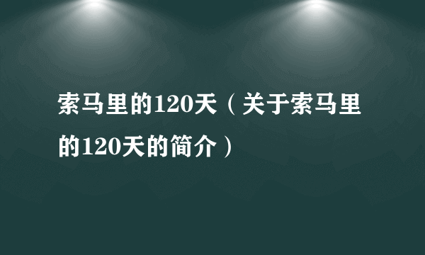 索马里的120天（关于索马里的120天的简介）