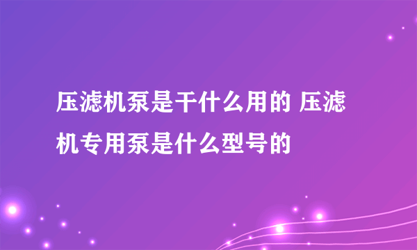 压滤机泵是干什么用的 压滤机专用泵是什么型号的