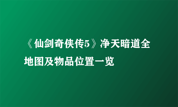 《仙剑奇侠传5》净天暗道全地图及物品位置一览