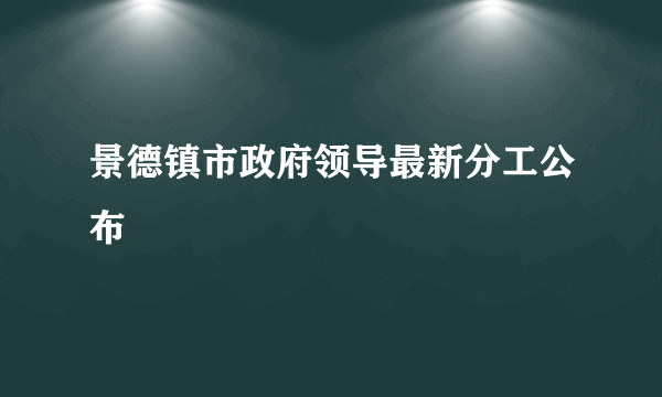 景德镇市政府领导最新分工公布