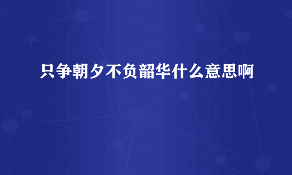 只争朝夕不负韶华什么意思啊