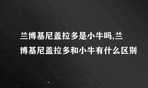 兰博基尼盖拉多是小牛吗,兰博基尼盖拉多和小牛有什么区别