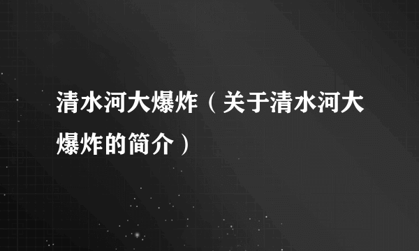 清水河大爆炸（关于清水河大爆炸的简介）