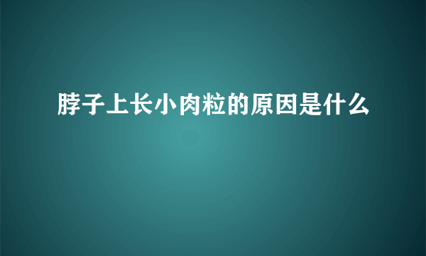 脖子上长小肉粒的原因是什么