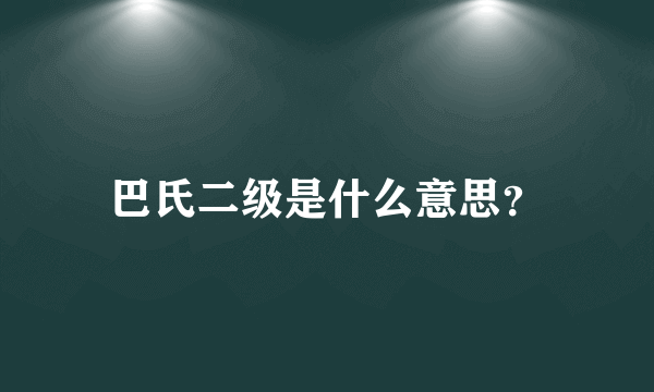 巴氏二级是什么意思？