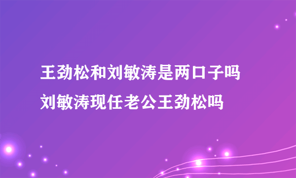 王劲松和刘敏涛是两口子吗 刘敏涛现任老公王劲松吗