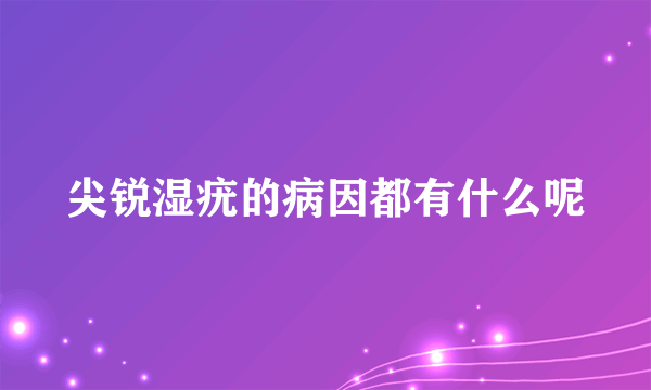 尖锐湿疣的病因都有什么呢