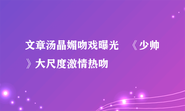 文章汤晶媚吻戏曝光   《少帅》大尺度激情热吻