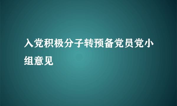 入党积极分子转预备党员党小组意见