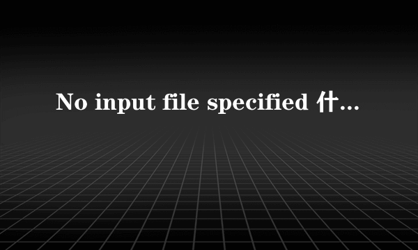 No input file specified 什么情况？如何解决