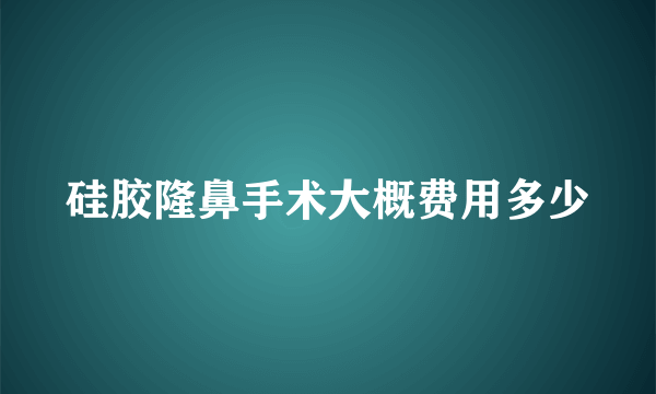 硅胶隆鼻手术大概费用多少