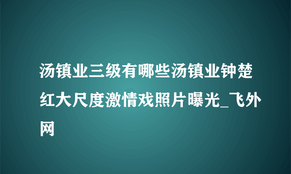 汤镇业三级有哪些汤镇业钟楚红大尺度激情戏照片曝光_飞外网