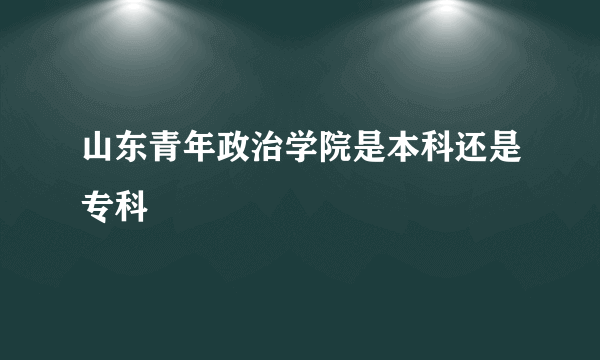 山东青年政治学院是本科还是专科