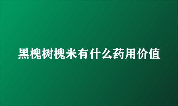 黑槐树槐米有什么药用价值