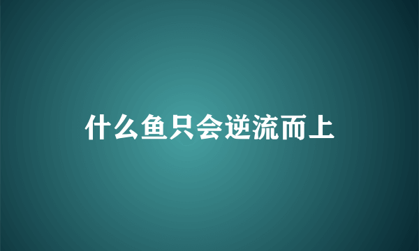 什么鱼只会逆流而上