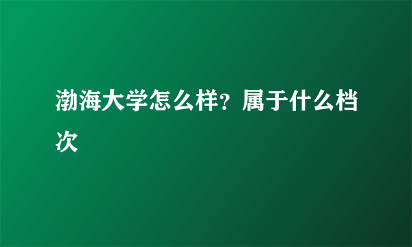 渤海大学怎么样？属于什么档次