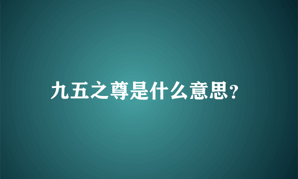 九五之尊是什么意思？