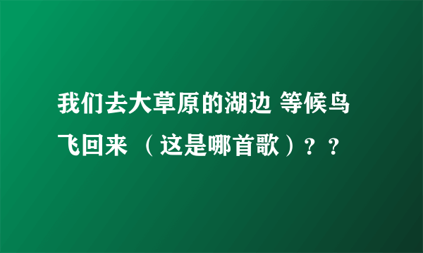 我们去大草原的湖边 等候鸟飞回来 （这是哪首歌）？？