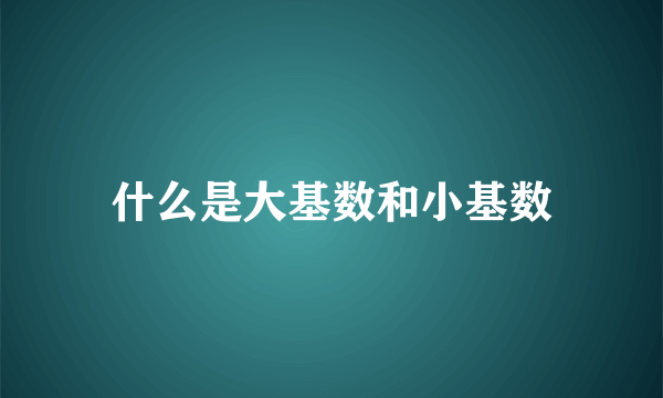 什么是大基数和小基数