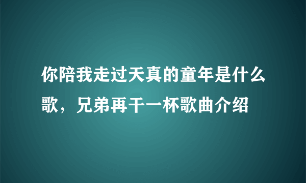 你陪我走过天真的童年是什么歌，兄弟再干一杯歌曲介绍