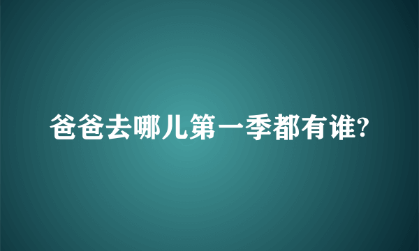 爸爸去哪儿第一季都有谁?