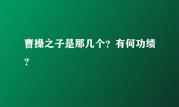 曹操之子是那几个？有何功绩？