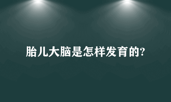 胎儿大脑是怎样发育的?