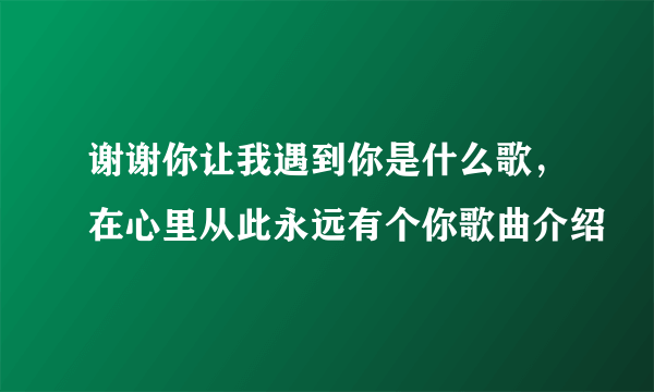 谢谢你让我遇到你是什么歌，在心里从此永远有个你歌曲介绍