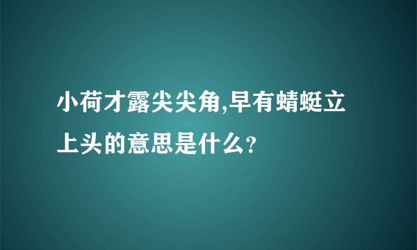 小荷才露尖尖角,早有蜻蜓立上头的意思是什么？