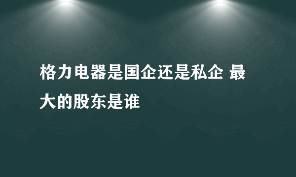 格力电器是国企还是私企 最大的股东是谁