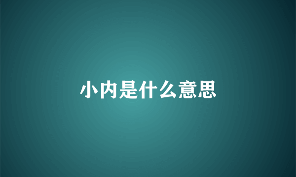 小内是什么意思