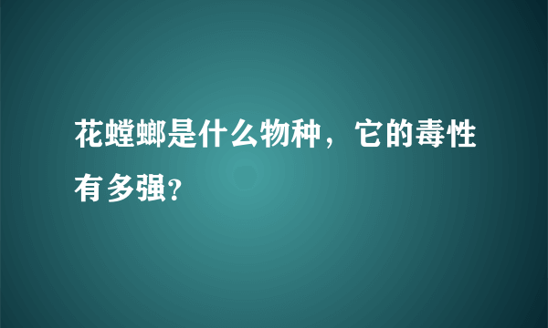 花螳螂是什么物种，它的毒性有多强？