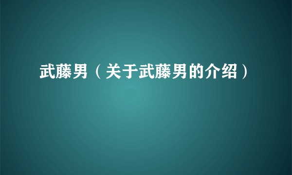 武藤男（关于武藤男的介绍）