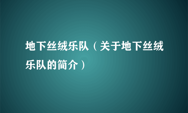 地下丝绒乐队（关于地下丝绒乐队的简介）