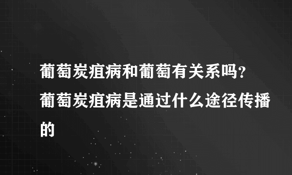 葡萄炭疽病和葡萄有关系吗？葡萄炭疽病是通过什么途径传播的