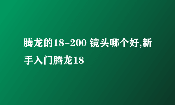 腾龙的18-200 镜头哪个好,新手入门腾龙18