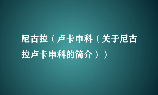 尼古拉（卢卡申科（关于尼古拉卢卡申科的简介））