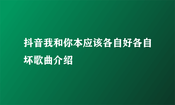 抖音我和你本应该各自好各自坏歌曲介绍